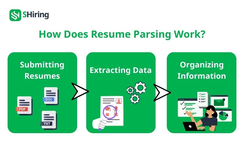 How Does Resume Parsing Work?